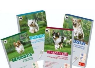 AnimalCLAN ayuda a Eliminar Parásitos de nuestro Perro pipetas anti parasitos advantix para perros