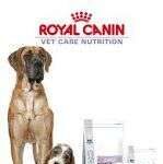 Royal Canin y tu cachorro
