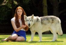 Northern Inuit, los «lobos» de Juego de Tronos