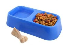 Elegir el Mejor Pienso para Perros El Mejor Pienso para Perros