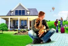 Cuidar de los Animales en Vacaciones Cuidar a tu Mascota en Vacaciones