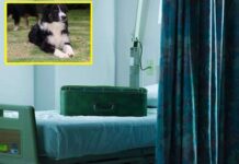 Mete a su PERRO en una Maleta y entra al Hospital