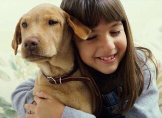 COLLARES ANTIPARASITOS para Perros ¡ha llegado la hora de utilizarlos! Collares Antiparasitos para Perros
