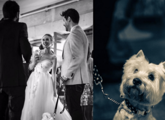 Robin, la Perrita de Marta Hazas, Asiste a su Boda Robin, la Perrita de Marta Hazas, Asiste a su Boda