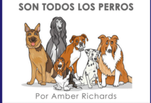 Son todos los perros, Libro Recomendado para Niños Son todos los perros, Libro Recomendado para Niños