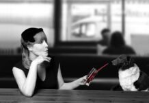 Regalar un Perro en Navidad: Puntos a Tener en Cuenta Regalar un Perro en Navidad: Puntos a Tener en Cuenta