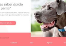 GPS para PERROS, la solución para NO PERDERLO de vista en ninguna parte GPS para PERROS