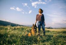 Los Perros son Animales Sociales Los Perros son Animales Sociales