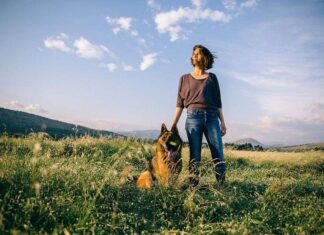 Los Perros son Animales Sociales Los Perros son Animales Sociales