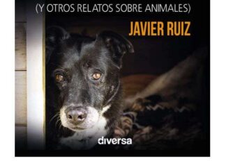 Libro: De Cómo Tu Perro Cambió mi Vida Libro: De Cómo Tu Perro Cambió mi Vida
