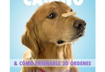 Cómo Educar a tu Cachorro Cómo educar a tu cachorro