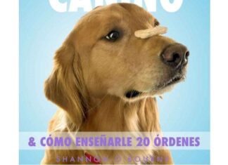 Cómo Educar a tu Cachorro Cómo educar a tu cachorro