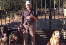Santiago de 87 Años Busca Dueños para Sus Perros Santiago de 87 Años Busca Dueños para Sus Perros