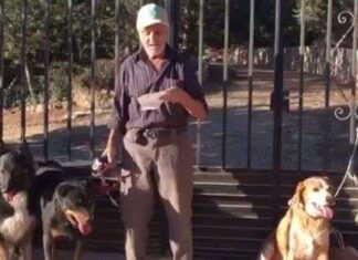 Santiago de 87 Años Busca Dueños para Sus Perros Santiago de 87 Años Busca Dueños para Sus Perros