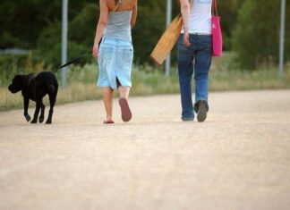 Pasear al perro… sin tirar de la correa Pasear con nuestro perro