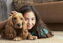 Beneficios de MASCOTAS EN LA INFANCIA