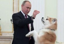 Perros y presidentes, una moda alrededor del mundo