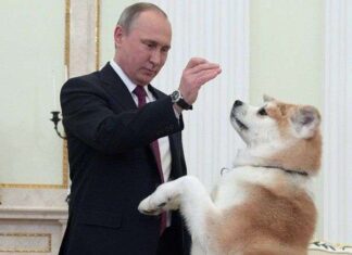 Perros y presidentes, una moda alrededor del mundo