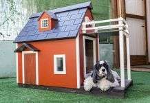 ¿Cómo elegir la mejor caseta para un perro? caseta-perros