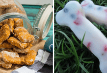 4 Golosinas Caseras para Prepararle a Tu Perro