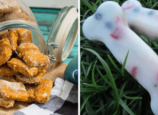 4 Golosinas Caseras para Prepararle a Tu Perro