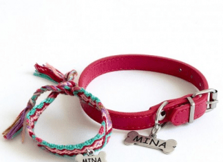 Todo sobre los tipos de collar de perro