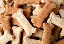 Recetas fáciles de hacer en casa para perros