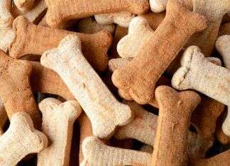 Recetas fáciles de hacer en casa para perros