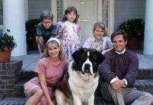 Películas divertidas sobre perros