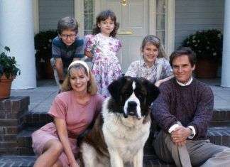 Películas divertidas sobre perros