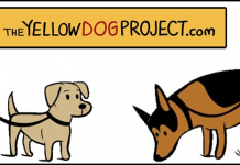 Yellow Dog Project, ¿qué es?