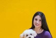 Consejos de cuidado para un bichón maltés Cómo educar a mi mascota? Estos consejos te sacarán de apuros