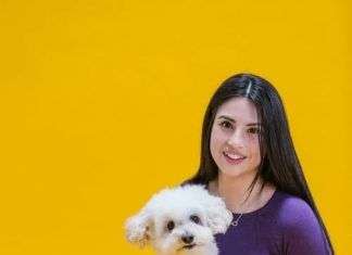 Consejos de cuidado para un bichón maltés Cómo educar a mi mascota? Estos consejos te sacarán de apuros