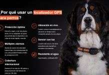 Una mascota extraviada se recupera en pocas horas gracias a un localizador GPS localizador gps para perros