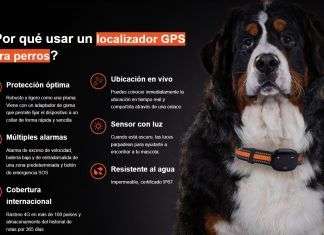 Una mascota extraviada se recupera en pocas horas gracias a un localizador GPS localizador gps para perros