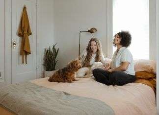 Sabanillas para perros: ¿cómo crear buenos hábitos en tus mascotas? sabanillas para perros