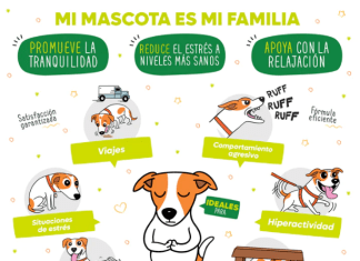 Ansiedad en Perros: Contrólala en 8 Pasos ansiedad en perros