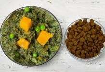 Alimentación natural para perros: Beneficios para su salud y bienestar Alimentación natural para perros: Beneficios para su salud y bienestar