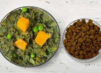 Alimentación natural para perros: Beneficios para su salud y bienestar Alimentación natural para perros: Beneficios para su salud y bienestar
