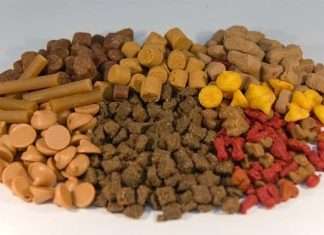 Croquetas para Perros: Una Receta Casera y Saludable Croquetas para Perros: Una Receta Casera y Saludable