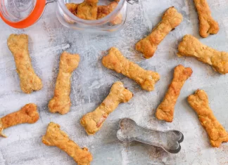 Premios Deliciosos y Caseros para tu Mejor Amigo Peludo Premios Deliciosos y Caseros para tu Mejor Amigo Peludo