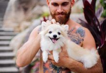 Lo que debes conocer para comprar un buen aceite de CBD para tu perro