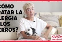 Alergia a los perros 🐶 ¿Cómo convivir con tu mascota?