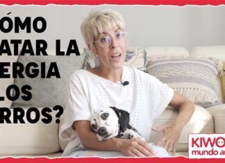 Alergia a los perros 🐶 ¿Cómo convivir con tu mascota?