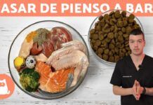 🥩 Dieta BARF para Cachorros: Cómo pasar de PIENSO a BARF 🐶
